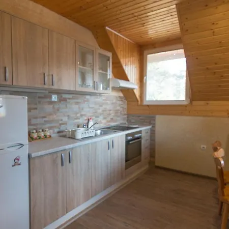 Cabană Zavicaj Apartmani3